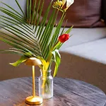 Blooma Centre - Accor Handwritten Collection